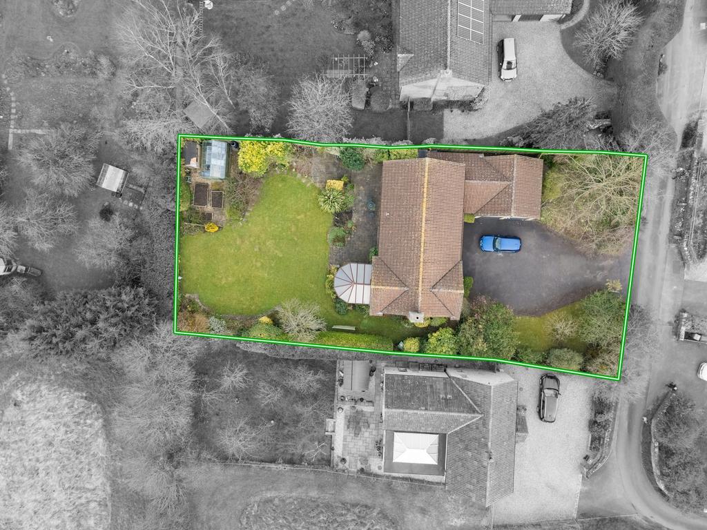 TEK Hi Res 250310 001.jpeg