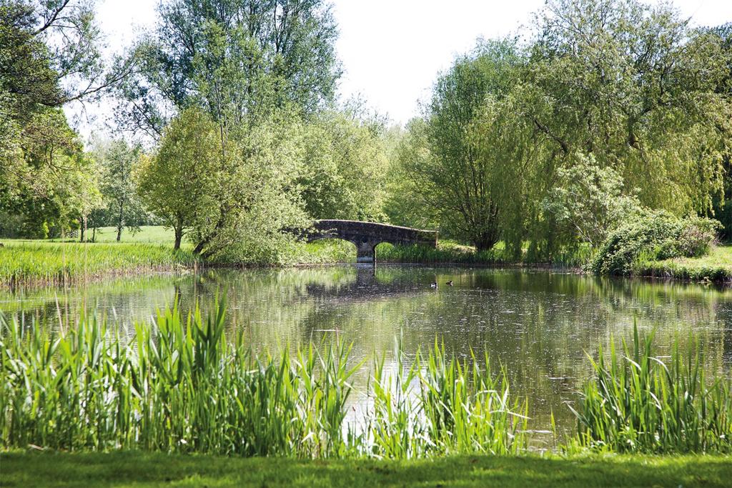 Lake & Bridge