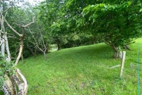 Land for sale, Aerfen Orchard