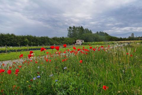 Land for sale, The Vineyard, Uffington Road, Barnack