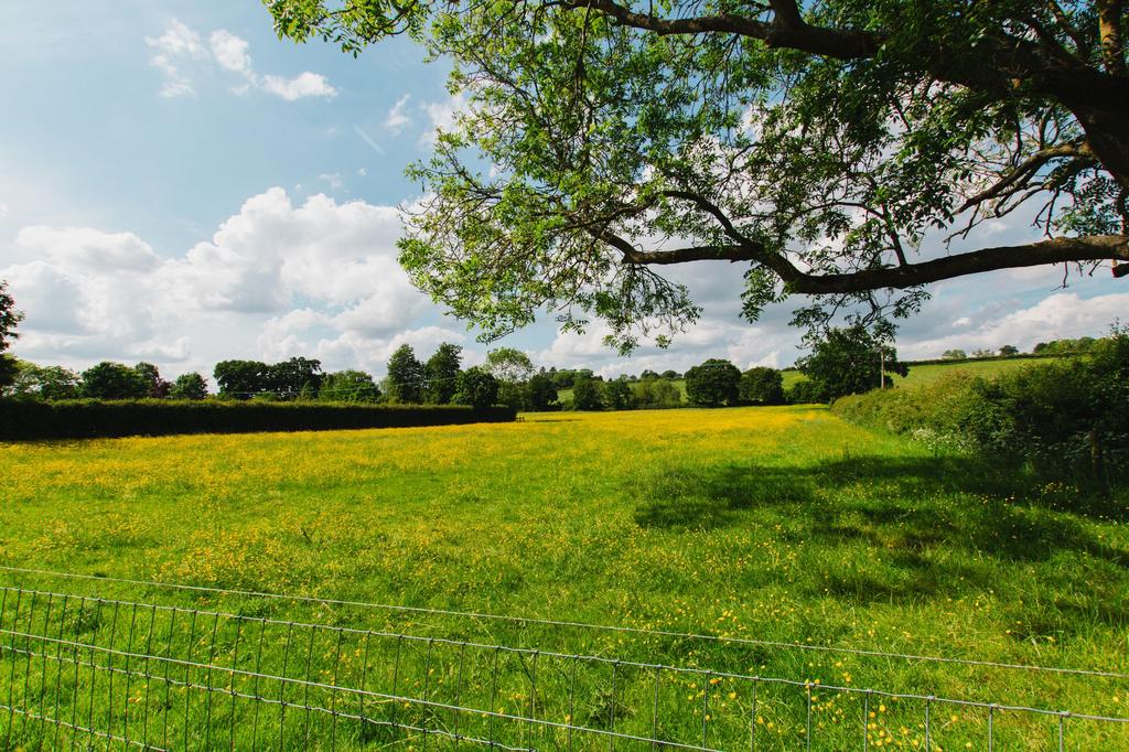 Courtington Lane, Bloxham, OX15 5 bed detached house for sale £780,000