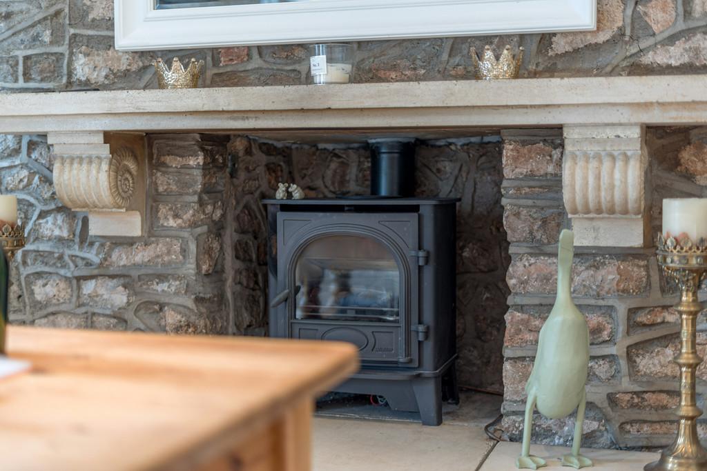 Feature Fireplace