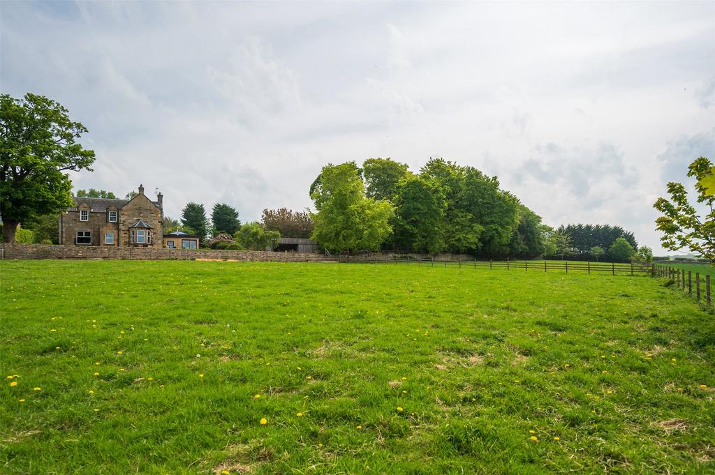 Front Paddock