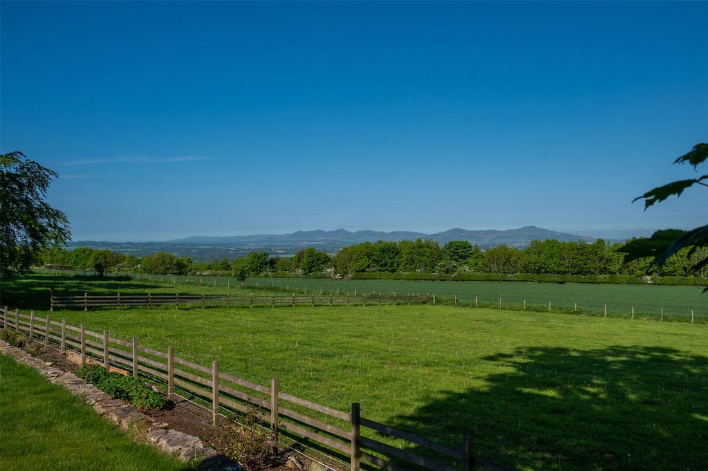 Front Paddock View