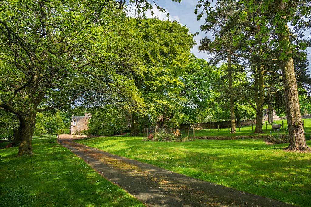D'Arcy House Drive