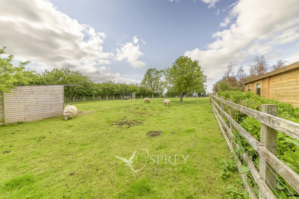 Paddock to the Rear of the Bungalow