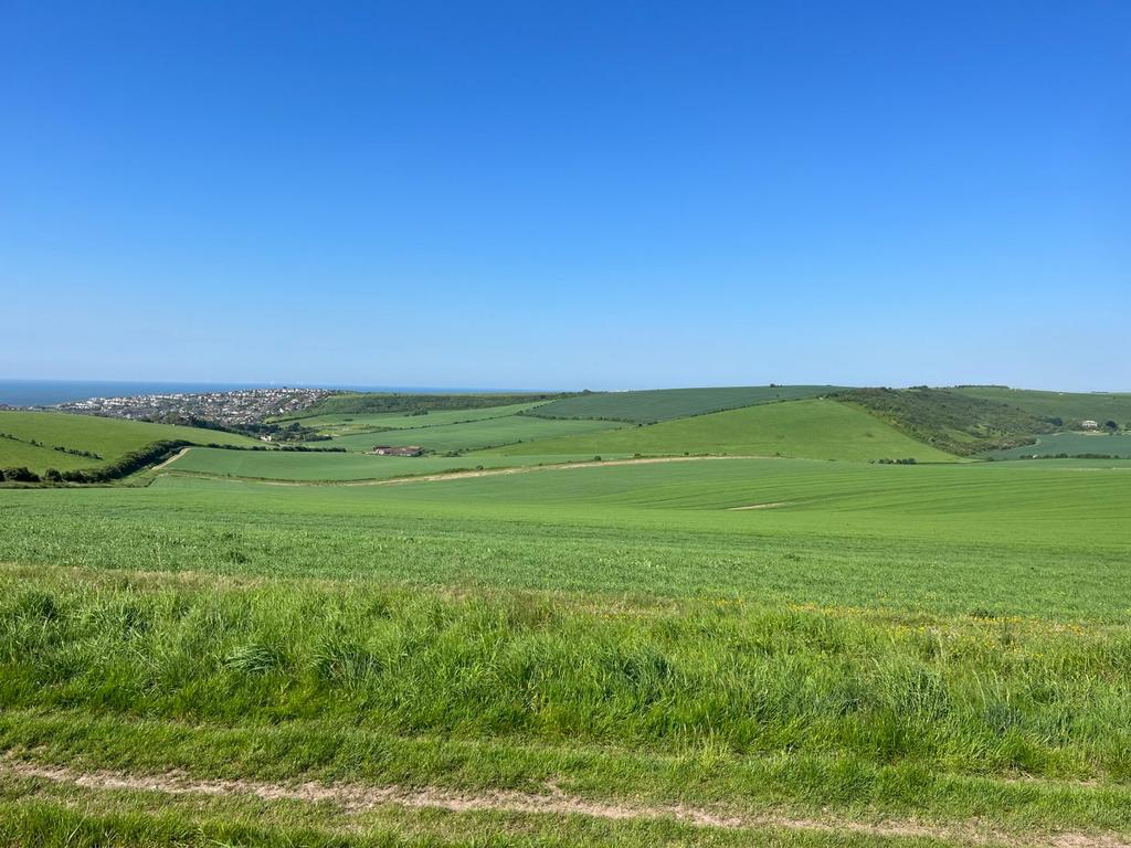 Arable Land