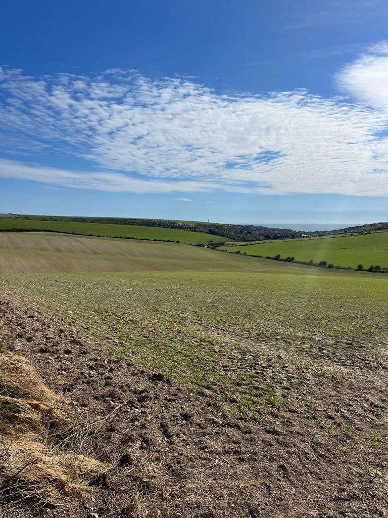 Arable Land