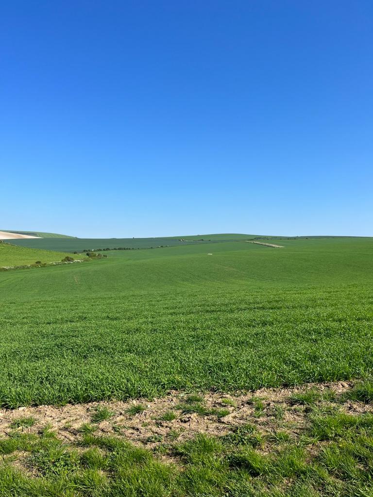 Arable Land