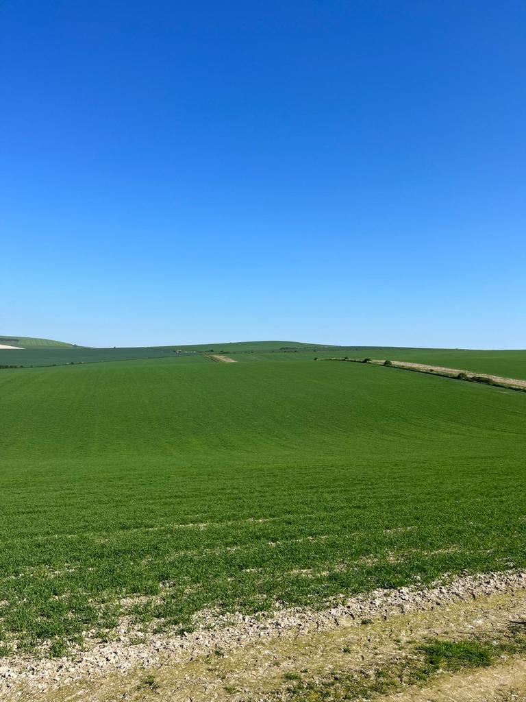 Arable Land