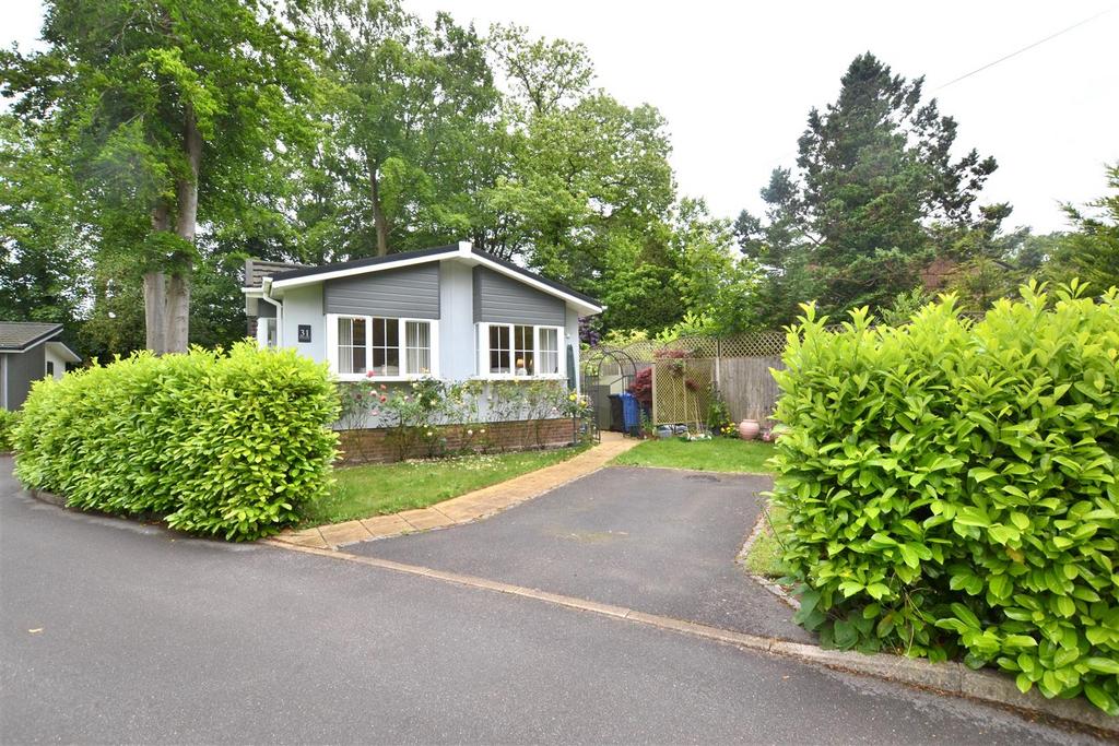 Driveway 1.JPG