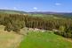 Lochgorm Neuk House Site, Grantown on Spey