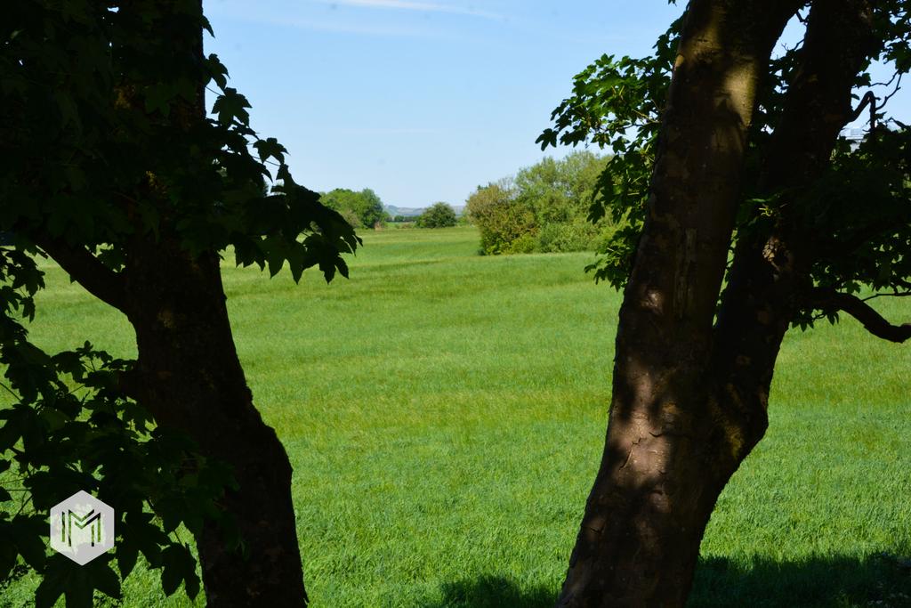 Picture No. 31