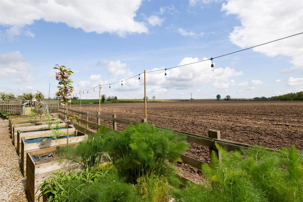 Vegetable &amp; Herb Garden