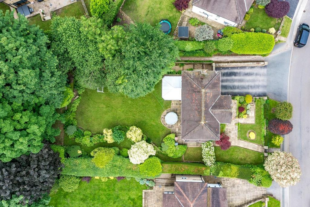 DJI 0025.jpg