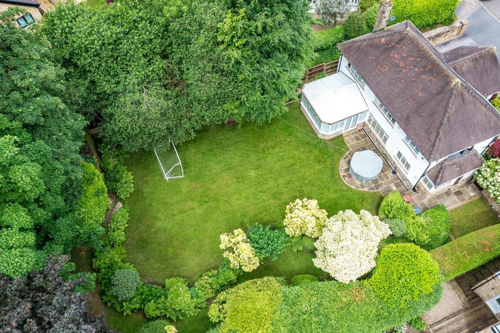 DJI 0024.jpg