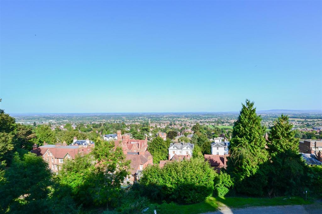 View shot.jpg