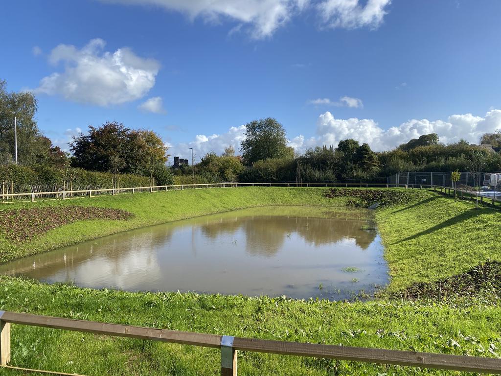 Plots Overlooking Site Nature Pond