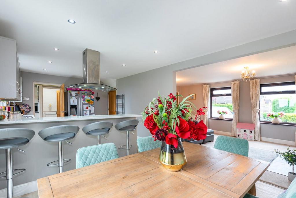 Open Plan Dining/Lounge/Kitchen