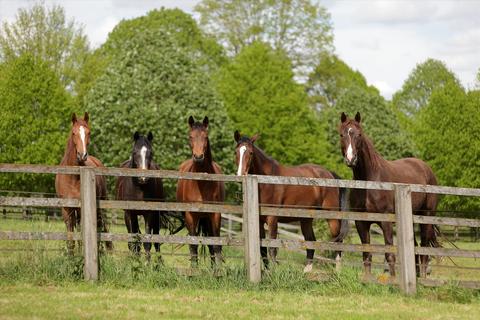 Stanbrook Farm Newent Road, Staunton, Gloucester, GL19 3QR