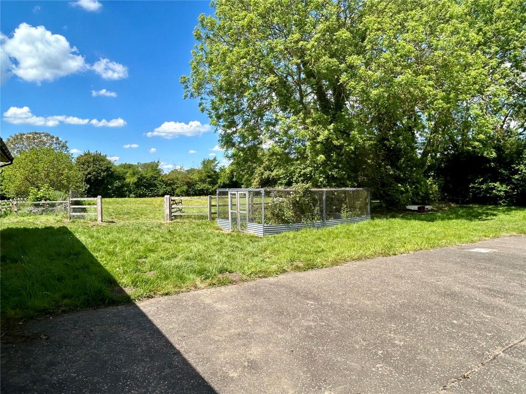 Field
