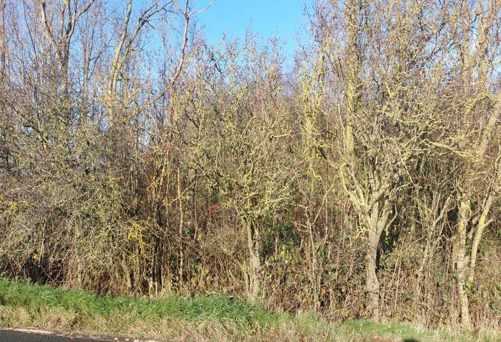 Land At Easington Road, Skeffling, HULL Land £20,000