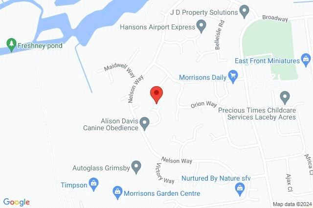 Google Maps Image