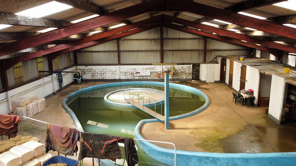 Equine Swimming Pool