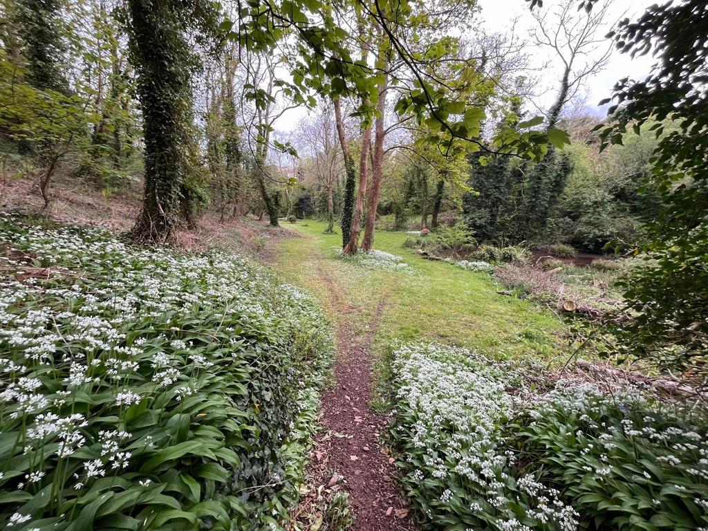 Woodland