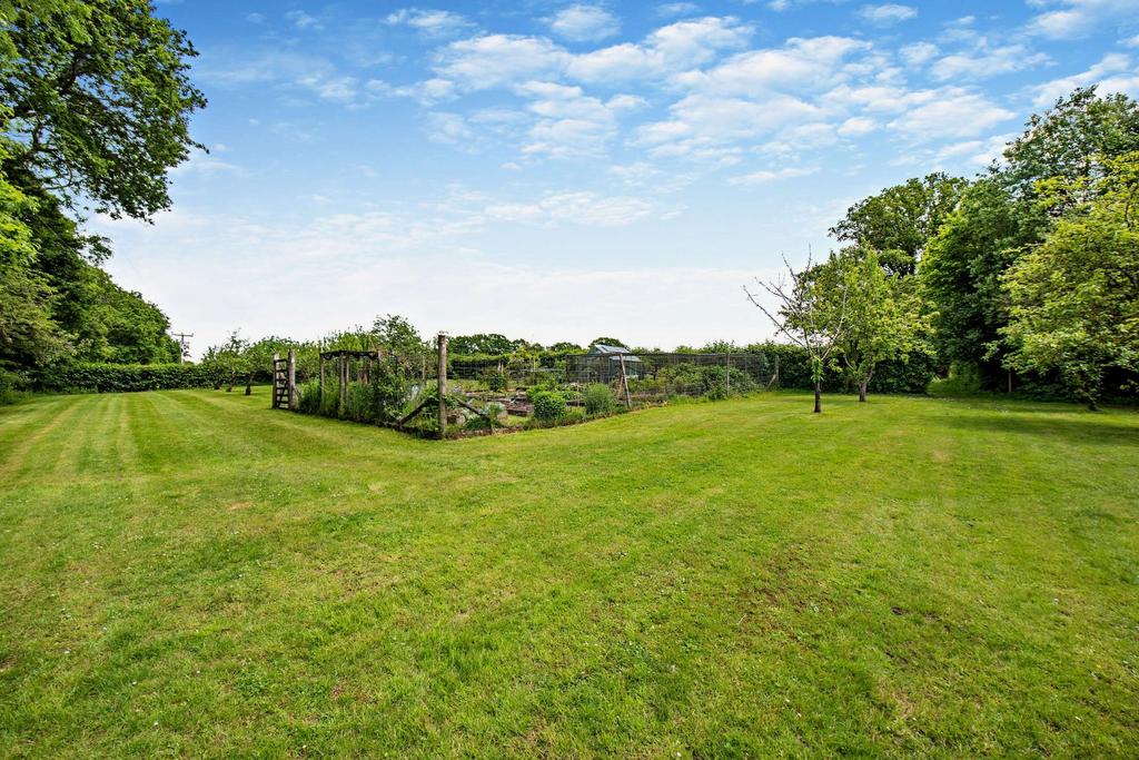 Orchard &amp; Veg Garden