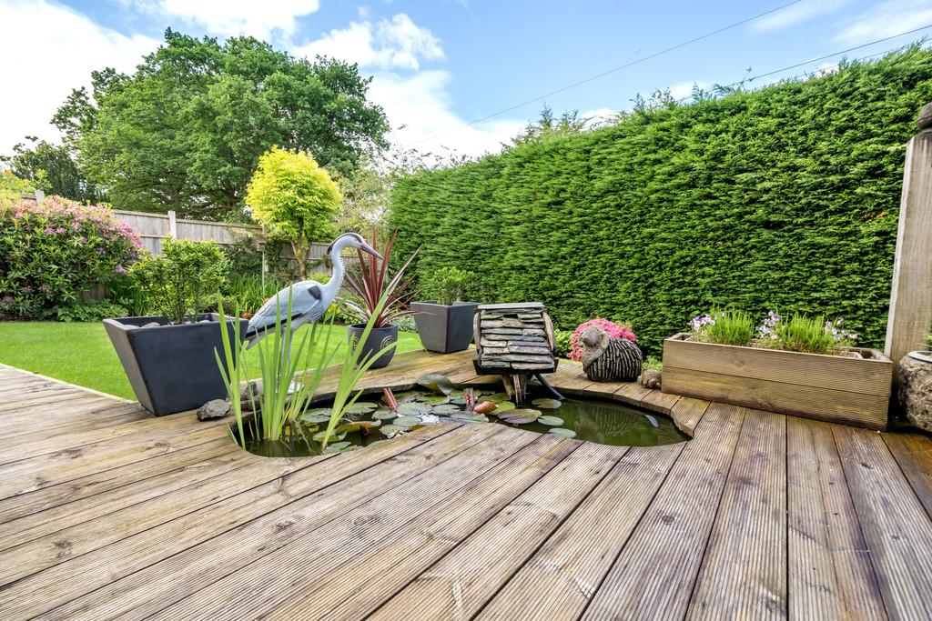 Decking and Pond