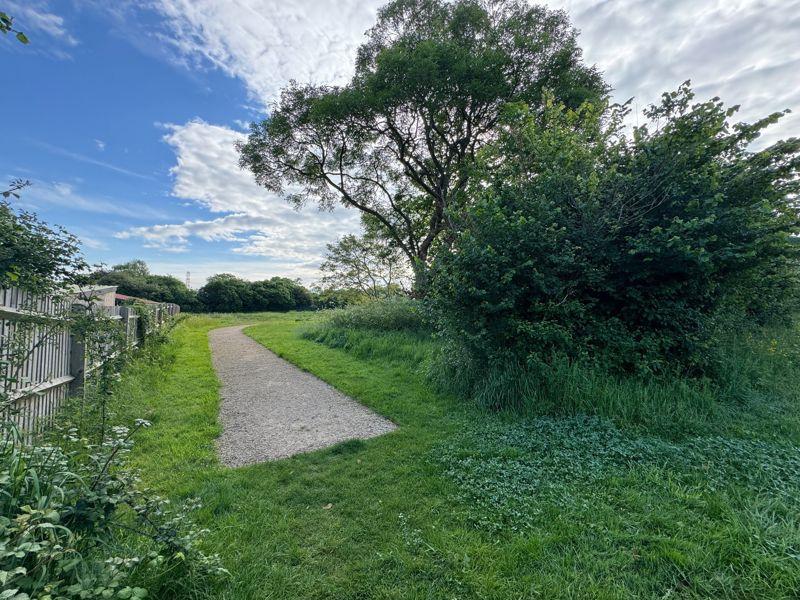 Path to Wildlife...