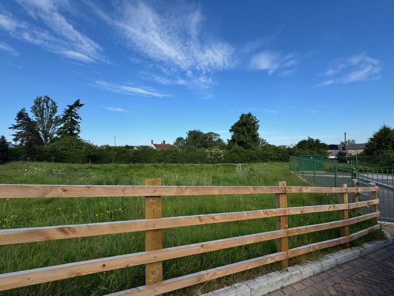 View from Driveway