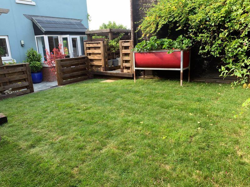 NEW rear lawn
