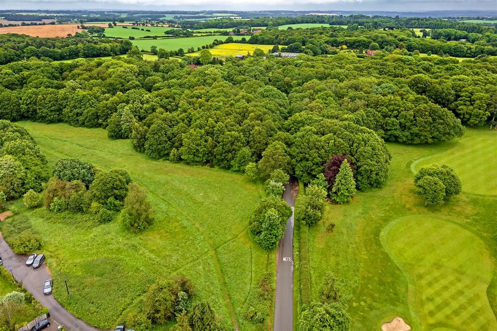 20 Gustard Wood-9.jpg