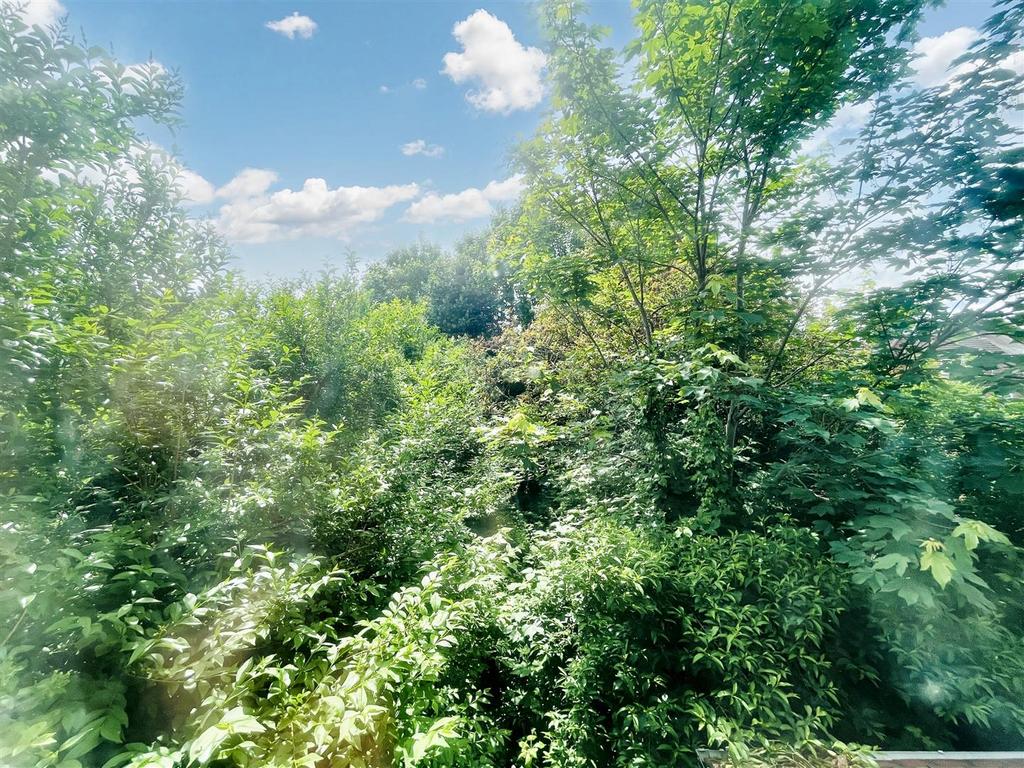 Overgrown Garden