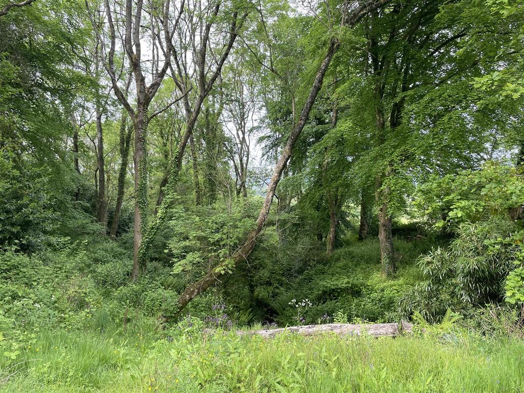 West Buckland, Wellington Land for sale £80,000