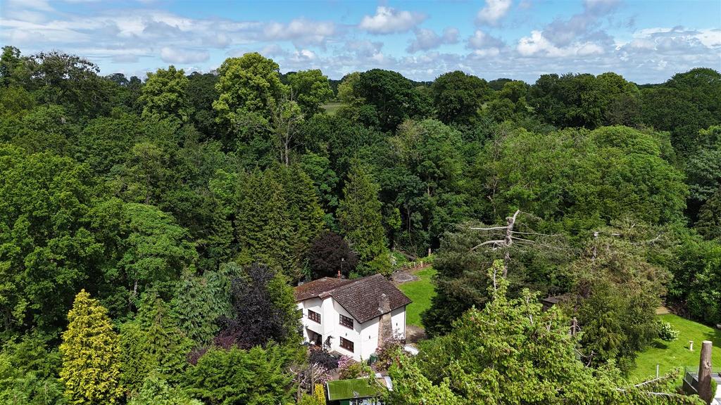 Dji fly 20240530 134048 0304 1717074804934 photo.j