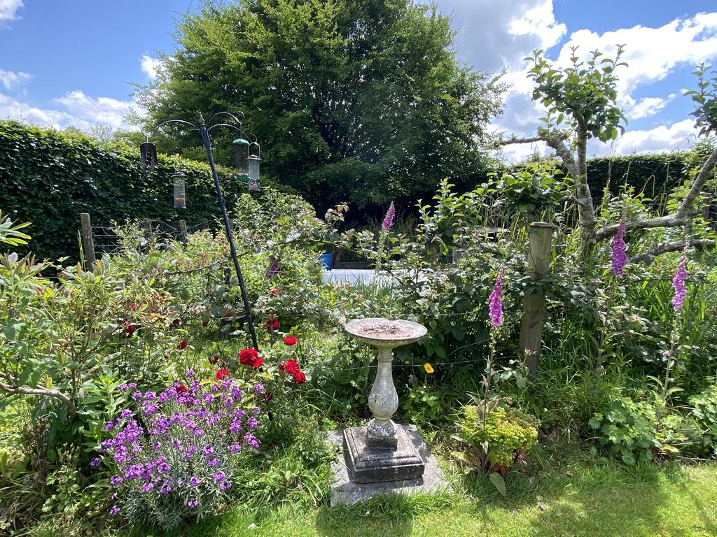 Vegetable Garden