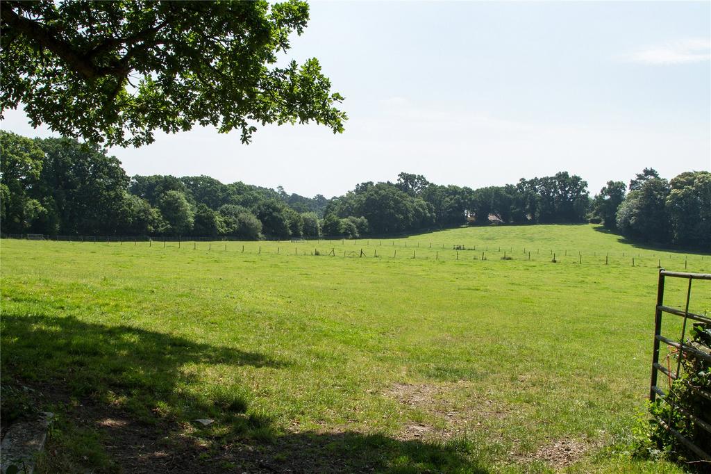Field