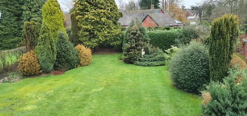Rear garden
