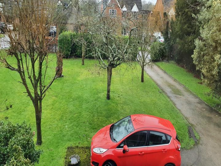 Front garden