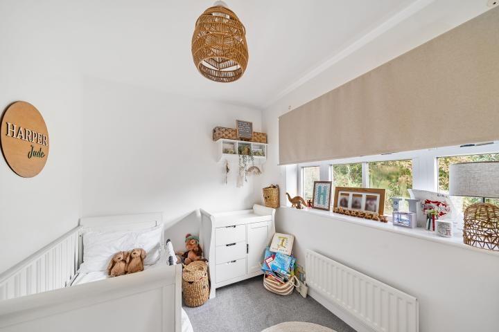 Chpk5215830 large-13-21 jpg