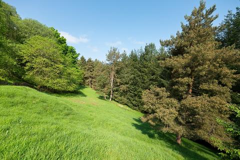 Woodland for sale, Peebles EH45