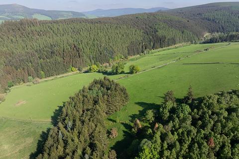 Woodland for sale, Peebles EH45