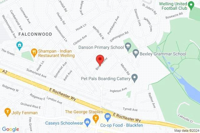 Google Maps Image