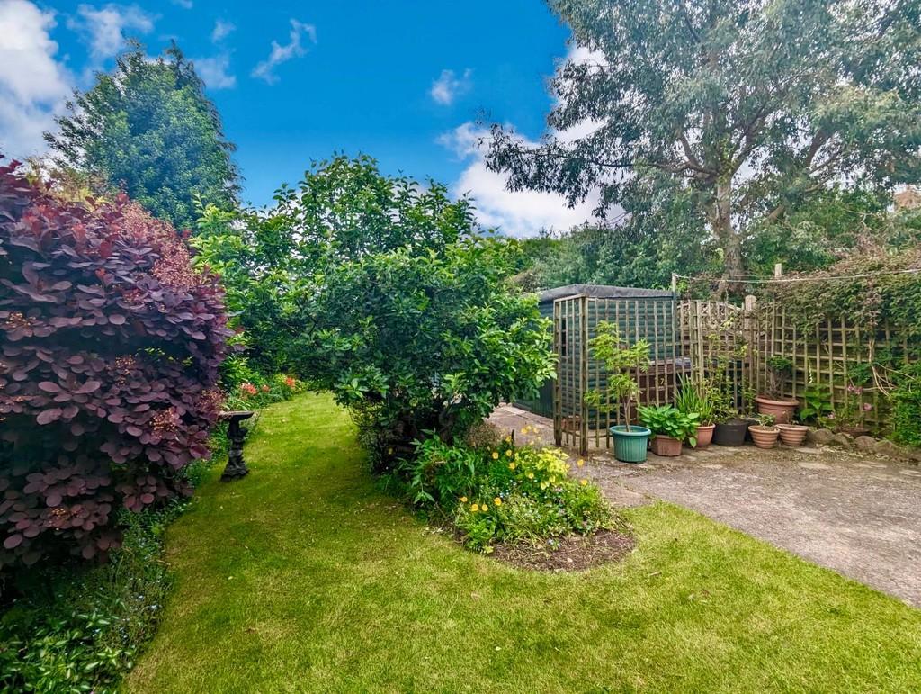 Garden 6