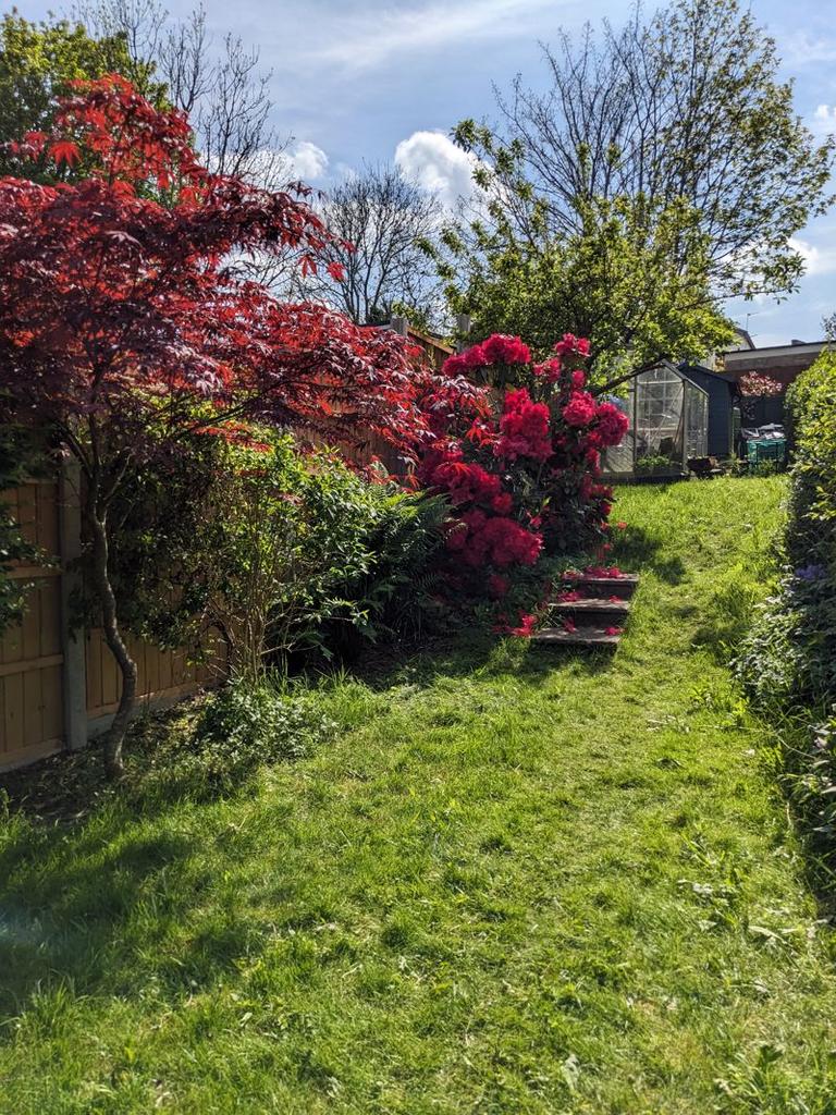 Garden with...