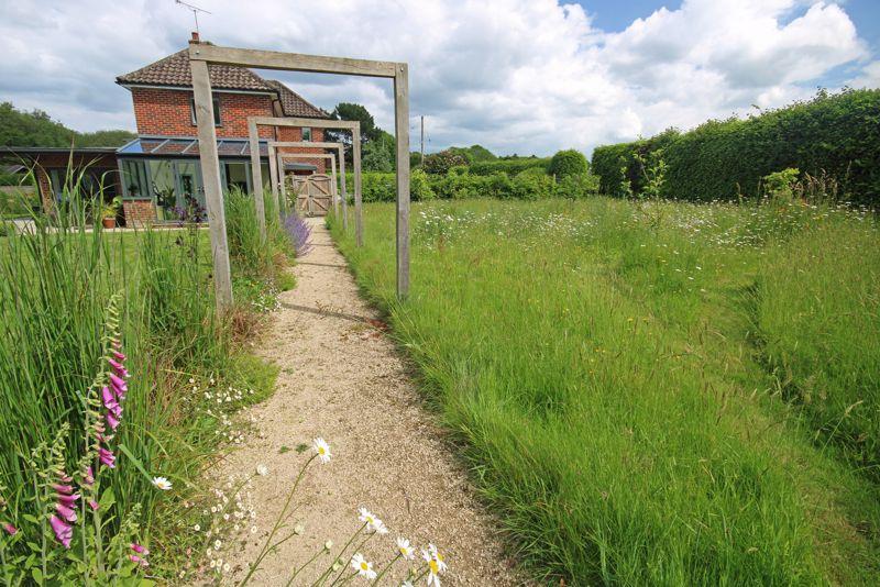 Meadow garden