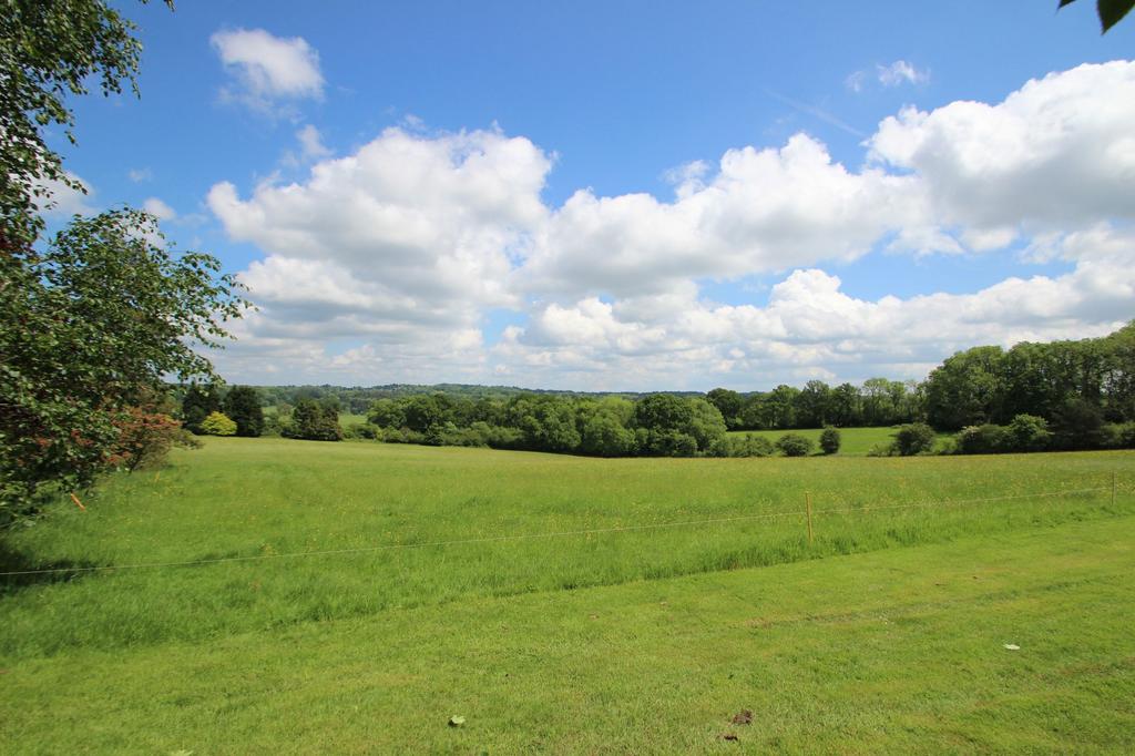 Fields and paddocks